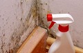 Waterfront Mold Experts
